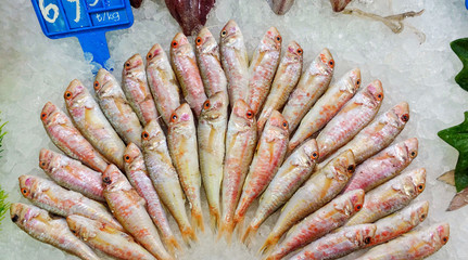 Fish Food in a Fish Market Stand