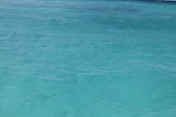 private island beach seychelles palm coconut sand sun