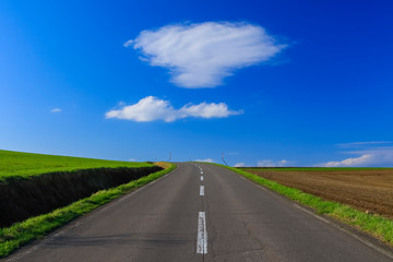 日本北海道　青空へ続く道