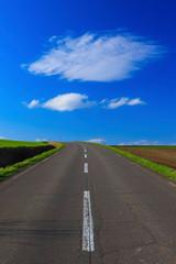 日本北海道　絶景へ続く道