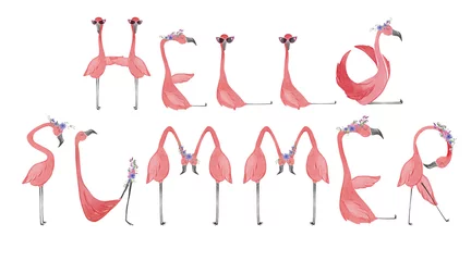 Foto auf Acrylglas Flamingo Handgezeichnete Aquarell Flamingos. Flamingo Hello Summer Schriftzug