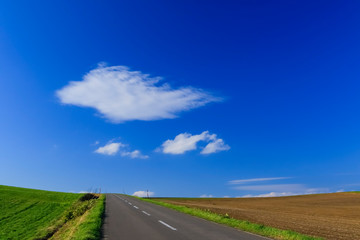 日本北海道　絶景へ続く道