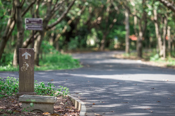 The natural background of flowers (orange) that fall on the ground surface beneath the trees, is the beauty of shedding leaves, with a blurred sunshine of the wind blowing through together.