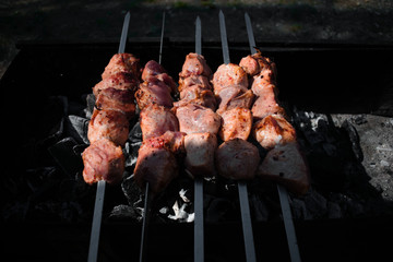 Barbecue is fried on the coals in nature on a Sunny spring day.