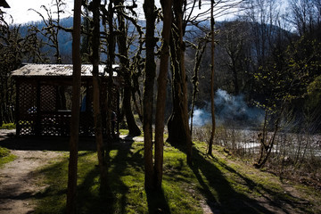 Summer house among the trees. Rest on a day off.