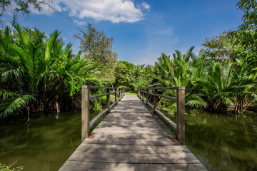 Fototapeta na wymiar Bang Kachao:May26,2019,atmosphere in park near Bangkok,with people visiting nature,cycling, couples,families with young children,friends group to relax during the holiday,area Bang Nam Phueng,Thailand