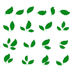 collection with green leaves in flat style for icons and graphic design
