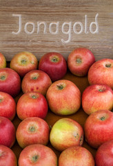 Aepfel (Malus), Sorte Jonagold