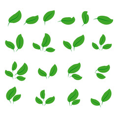 collection with green leaves in flat style for icons and graphic design