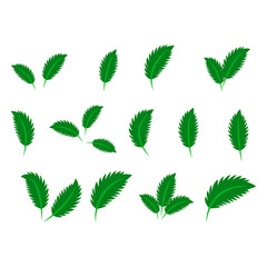 Naklejka na ściany i meble collection with green leaves in flat style for icons and graphic design