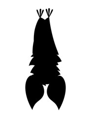 Black silhouette. Cartoon bat. Cute vampire bat, flying mammal. Flat vector illustration isolated on white background. Cartoon character design. Bat Upside Down