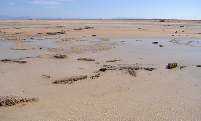 sandbank in the lagoon