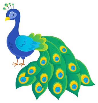 Stylized peacock topic image 2