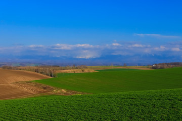 北海道　大地と丘と青空イメージ