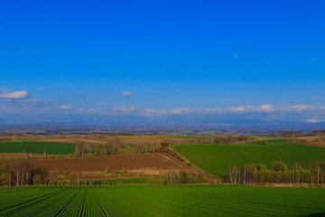 Fototapeta na wymiar 北海道広大な大地と青空イメージ