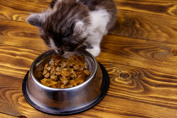 Naklejka premium Small kitten eating his food from metal bowl on wooden floor