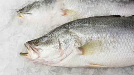 Raw fish on ice at market and department store, Ingredients for cooking, food concept.