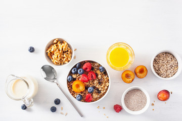 Fototapeta na wymiar healthy granola for breakfast with berry fruit nut, vegan milk