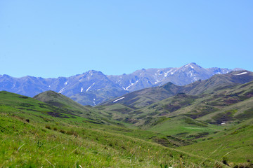Fototapeta na wymiar Mountain terrain meadows in Altyn-Emel