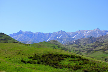 Mountain terrain meadows in Altyn-Emel