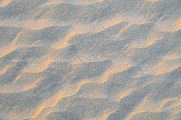 Dusk light on the desert sand 
