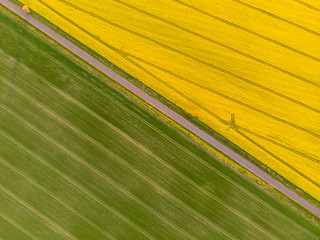 Aerial view of yellow canola and green grain fields divided by a country road