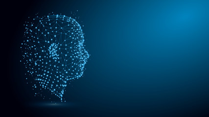 Human head with network plexus structure