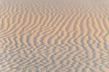 Wavy ripples in the sand
