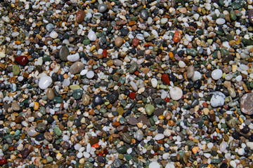 Colorful small rounded wet pebbles on a shingle beach