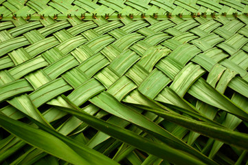 Interlocking palm leaves for the construction of a palm roof.