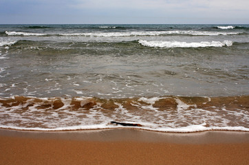 Shore of the sea with waves