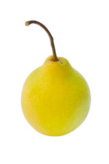 One juicy pears on a white isolated background