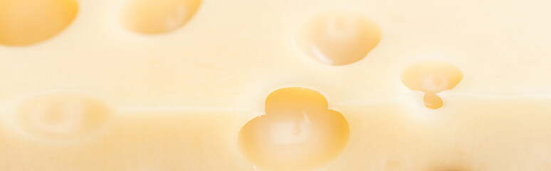 panoramic shot of fresh yellow cheese with wholes