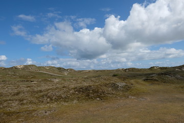 Eine Landschaft aus grasbewachsenen Dünen auf der norddeutschen Insel Norderney