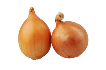 Two onions isolated on the white background