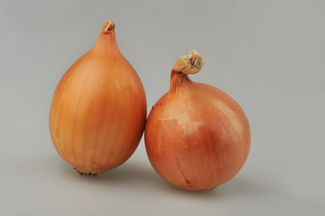 Two onions isolated on the gray background