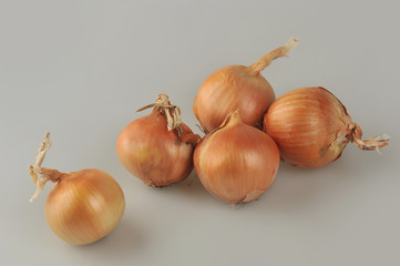 Several onion bulbs isolated on the gray background