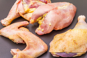 Fresh raw pieces of organic (bio) poultry chicken.