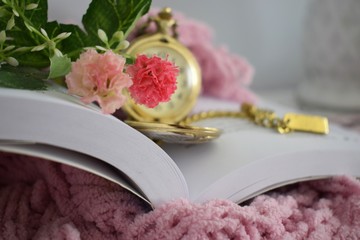 Os livros são tesouros para a nossa alma