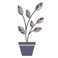 Houseplant flat illustration on white