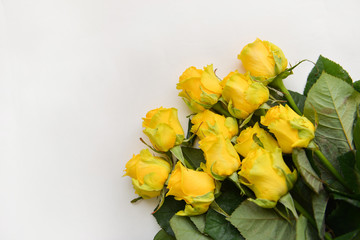 bouquet fresh yellow roses flowers with leaves white background. Flat lay, top view. corner frame composition. postcard birthday celebration father's day, mother's day, birthday floral arrangement