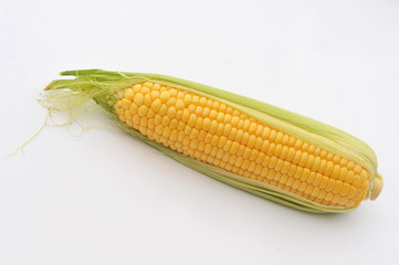 Sweet ripe Corn on a white isolated background