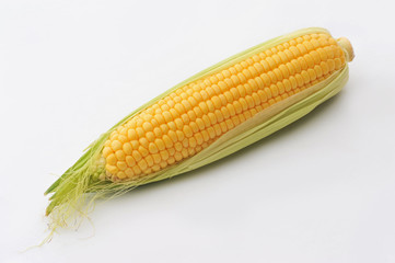 Sweet ripe Corn on a white isolated background