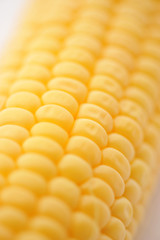 Sweet ripe Corn on a white isolated background