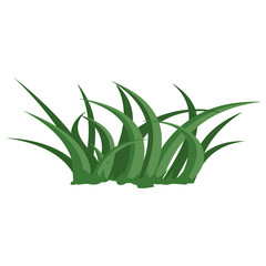 Grass. Grass icon. Plants. White background. Vector illustration. EPS 10.