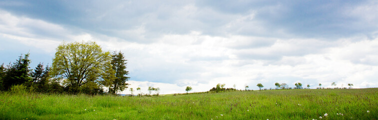 Fototapeta na wymiar Green field with trees and gray cloudy sky.