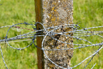 Betonpfahl mit Stacheldraht