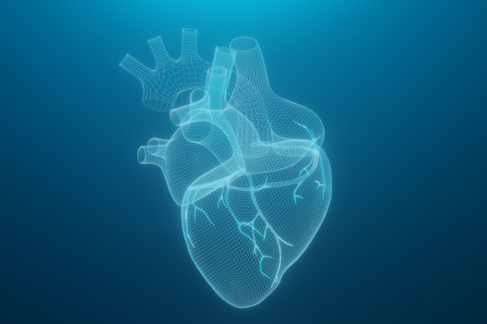 3D wireframe hearts render isolated white backgrounds, Abstract Heart icon form lines and triangles, point connecting network on blue background, 3d render