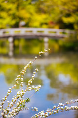 Eikando Temple in Kyoto Japan