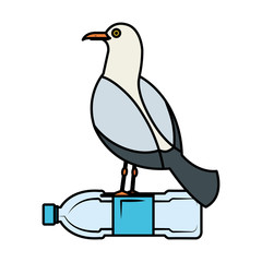 seagull with plastic bottle vector illustration